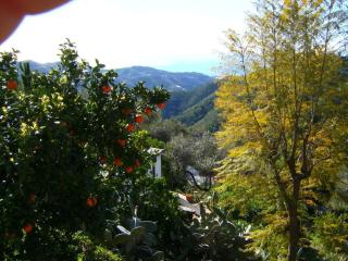 Casa Ranita Comfortable holiday residence - Sayalonga - 2