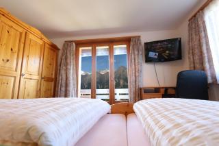 Hotel Alpina - 9
