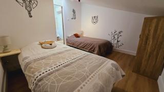 Maison rénovée, Agen centre - Agen - 4