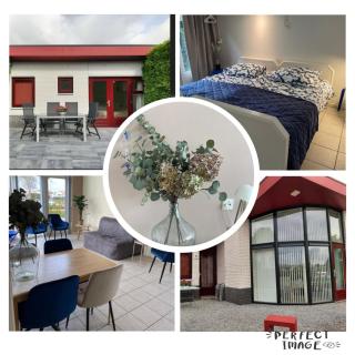 Vakantiehuis Alcedo - Ermelo - 1