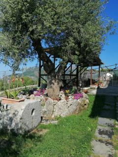 Il Casale del Generale - Agerola - 3