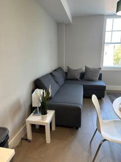Bright, spacious 1 bedroom flat - Brentwood - 5