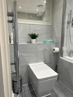 Bright, spacious 1 bedroom flat - Brentwood - 4