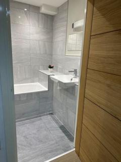 Bright, spacious 1 bedroom flat - Brentwood - 2