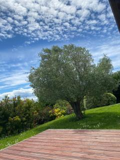 Entre mer et montagne AMA LUR - 5