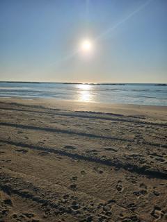 Villa Mavalupa - Lido delle Nazioni - 7
