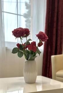 flumen stays I Cozy house with free parking - Prag - 4