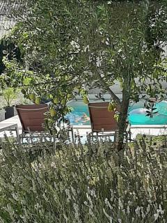 Le Clos du Puits - Courbillac - 1