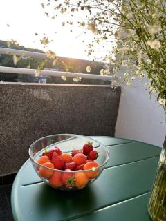 Yulia's apartment - Belgrado - 3