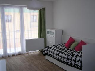 Apartment Třeboň - 7