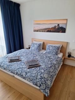 Apartmán v Javorné na Šumavě - 7