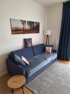 Apartmán v Javorné na Šumavě - Javorná - 6