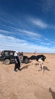Mhamid Tours berbère - Mhamid - 8