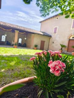 Casa Barattini - Zocchetta - 5