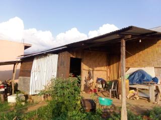 Izungle homestay - - 5