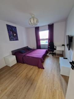Apartamenty Dmowskiego - Poznań - 8