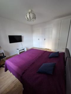 Apartamenty Dmowskiego - Poznań - 6