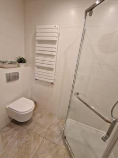 Apartamenty Dmowskiego - Poznań - 5