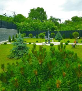GREY VILLAS - 4
