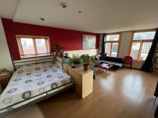 City Centre Apartment - 5