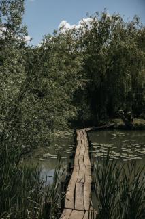 Kuća za odmor Bakina Divljaka - Slavonski Brod - 2