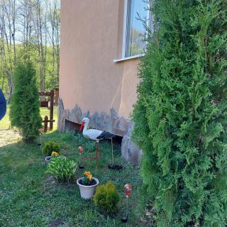 Cabana Imola - Vîrghiş - 8