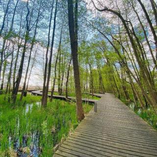 Domek na żołędziowej - Morzyczyn - 5
