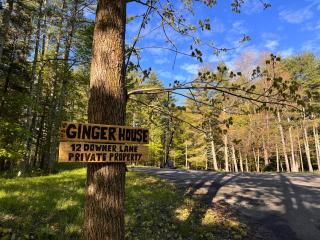 Secluded 3BR Woodland Escape Cottage 4 min from Woodstock - Woodstock - 6