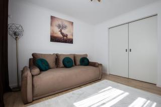 Apartament Victoria - Satu Mare - 2