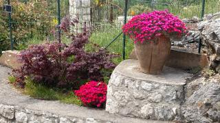 Rez de jardin, entre mer et montagne - 9