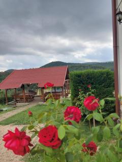 Brónok-völgy Vendégház - 2