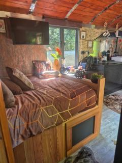 Brewers Bolt Cozy Unique Shepherds Hut Dog Friendly Hot Tub! - Dallington - 6