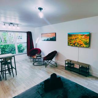 Cozy xxl studio FREE Parking - 8