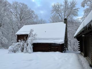 Cabin in the Woods - Sandgate - 8