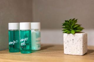 Betula Luxury Studio Apartment - 1