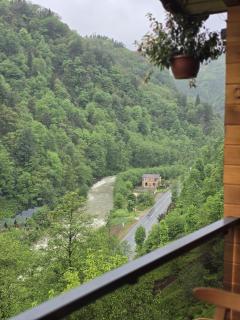 Lotus Çamlıhemşin Suit & Bungalov - 2