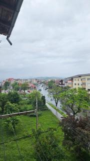 Simona - Curtea de Argeş - 2