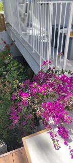 CASA VACANZA ANNA FRANK - CAMPOMARINO di MARUGGIO (TA) - 6