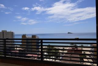 CASTELMAR 1 DORMITORIO - Fincas Arena - Benidorm - 9