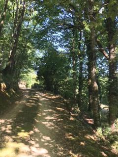 Retour aux sources - Blanquefort-sur-Briolance - 6