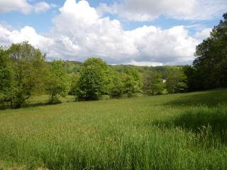 Retour aux sources - 4