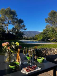 Mazet avec piscine, vue Ventoux - 9