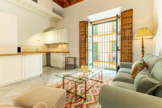 Villa Romana Kindly Apartment - Seville - 8