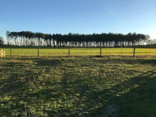 Le Couart - Castets - 6