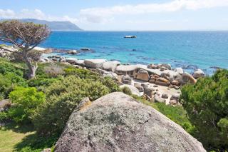 Stunning Boulders Beach house - Simonstown, Cape - Cidade Do Cabo - 9