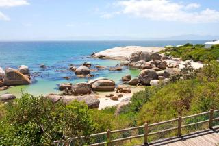 Stunning Boulders Beach house - Simonstown, Cape - Cidade Do Cabo - 3