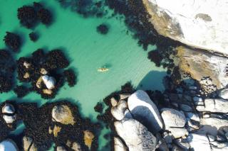 Stunning Boulders Beach house - Simonstown, Cape - 1