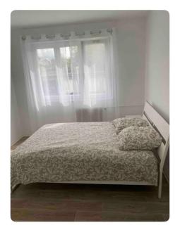 Chaleureux et spacieux logement sur cernay - Cernay - 7