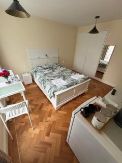 Wembley Stadium Large Double Room - London - 9