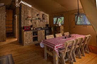 Woods of Eden Glampground - Bar Harbor - 7